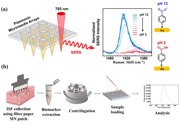 https://cdn.ncbi.nlm.nih.gov/pmc/blobs/d0ce/12190841/5318851e135e/biosensors-15-00350-g005.jpg