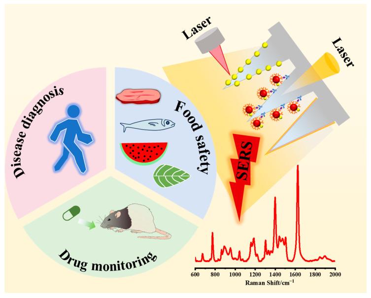 https://cdn.ncbi.nlm.nih.gov/pmc/blobs/d0ce/12190841/606d013e0b2f/biosensors-15-00350-g006.jpg
