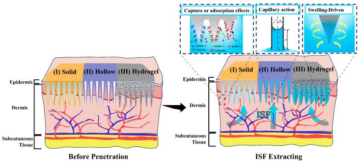 https://cdn.ncbi.nlm.nih.gov/pmc/blobs/d0ce/12190841/f431b6461cbc/biosensors-15-00350-g003.jpg