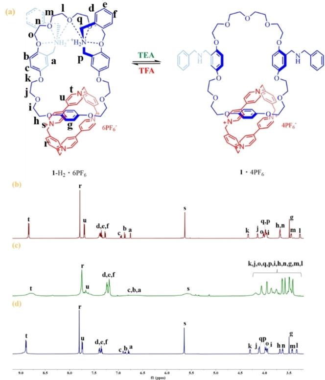 https://cdn.ncbi.nlm.nih.gov/pmc/blobs/d0d0/11319237/5c005d10d63c/OPEN-13-e202300304-g005.jpg