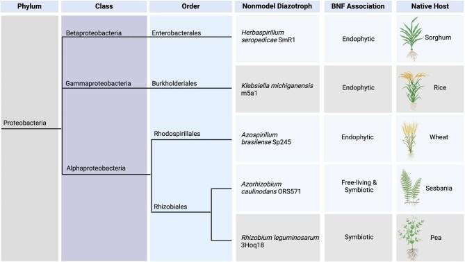 https://cdn.ncbi.nlm.nih.gov/pmc/blobs/d0d0/11537724/03d7454759de/kuae033fig1.jpg
