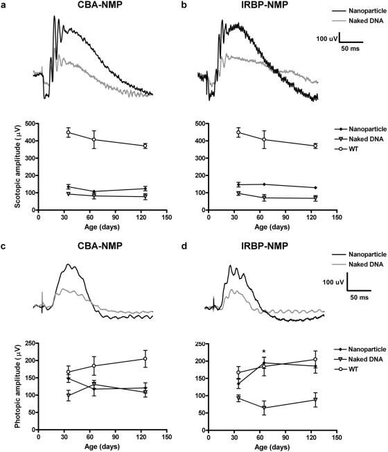 https://cdn.ncbi.nlm.nih.gov/pmc/blobs/d0d0/2669177/990c13c45851/pone.0005290.g004.jpg