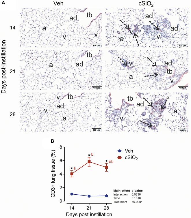 https://cdn.ncbi.nlm.nih.gov/pmc/blobs/d0d3/7959771/d55b24f3891a/fimmu-12-635138-g0009.jpg