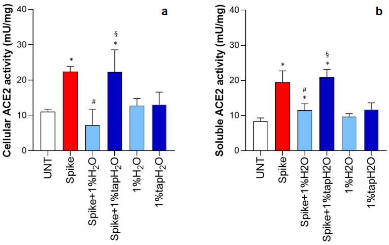 https://cdn.ncbi.nlm.nih.gov/pmc/blobs/d0d4/11672968/09a390eb7868/biomedicines-12-02917-g003.jpg