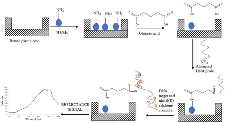 https://cdn.ncbi.nlm.nih.gov/pmc/blobs/d0d4/5948868/b9b7e5345209/sensors-18-01173-g001.jpg