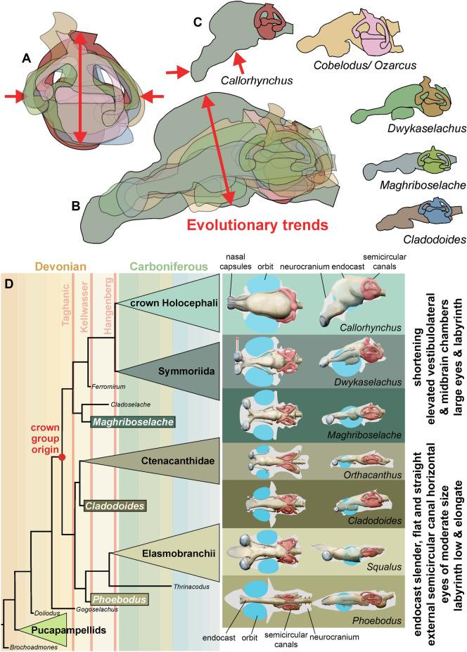 https://cdn.ncbi.nlm.nih.gov/pmc/blobs/d0d5/10050047/014c3c1cd4f8/13358_2023_266_Fig14_HTML.jpg