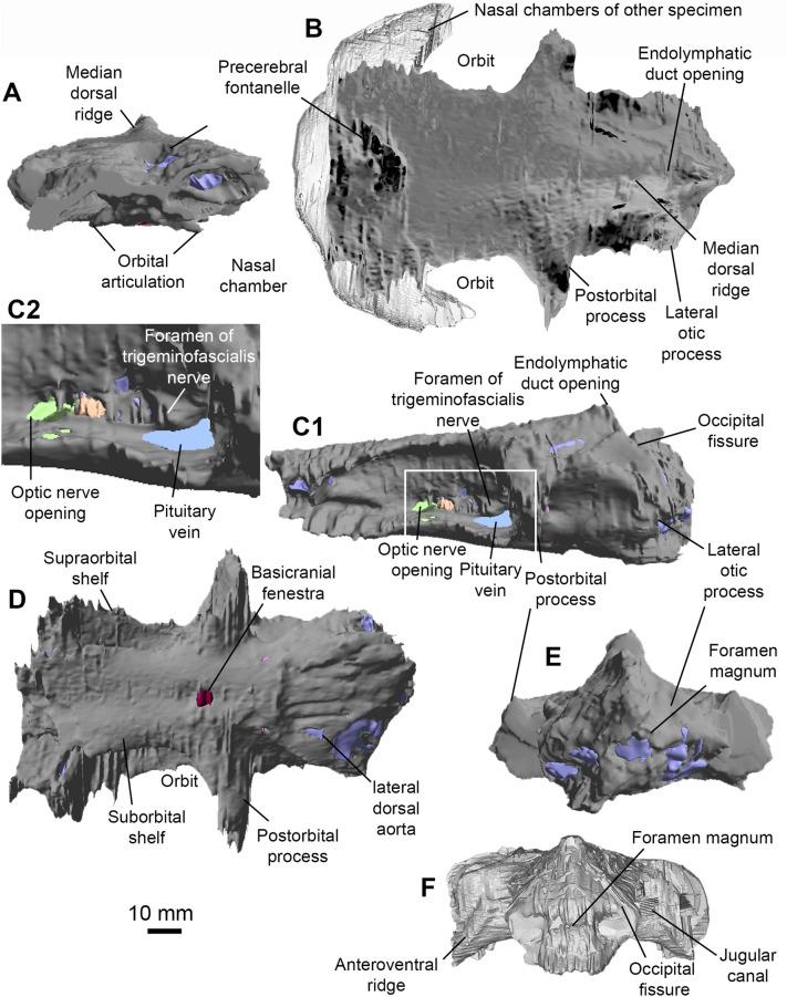 https://cdn.ncbi.nlm.nih.gov/pmc/blobs/d0d5/10050047/04a6f827786e/13358_2023_266_Fig4_HTML.jpg