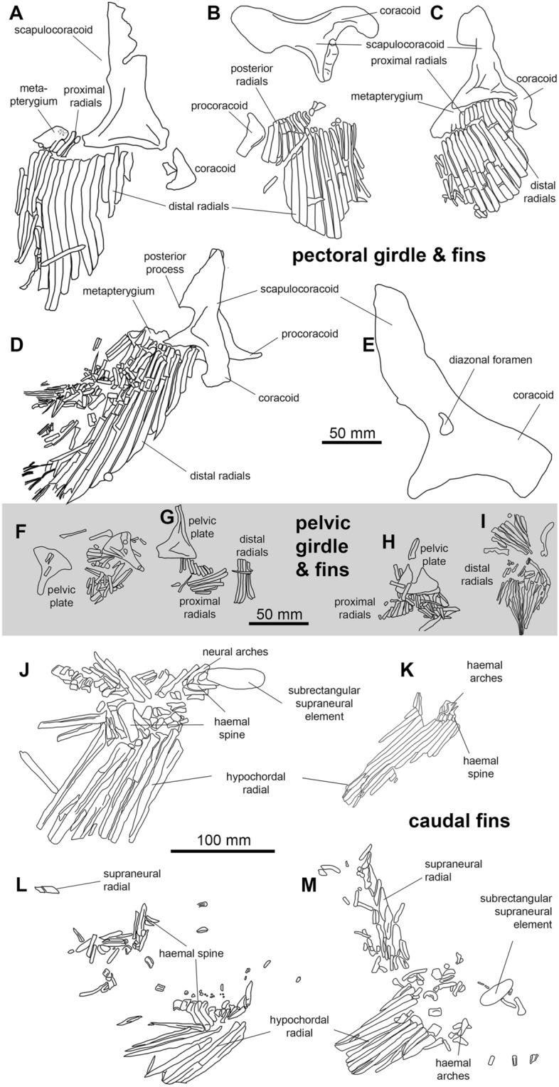 https://cdn.ncbi.nlm.nih.gov/pmc/blobs/d0d5/10050047/c506223e4520/13358_2023_266_Fig8_HTML.jpg
