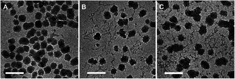 https://cdn.ncbi.nlm.nih.gov/pmc/blobs/d0d5/9078266/c0438bae4796/c7ra08716k-f6.jpg