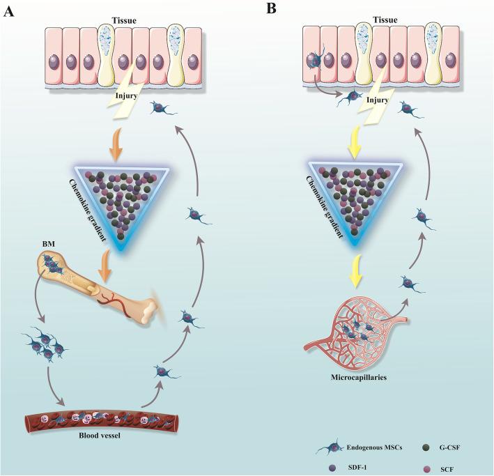 https://cdn.ncbi.nlm.nih.gov/pmc/blobs/d0d8/7977163/9a0c4acfbe0d/13287_2021_2265_Fig1_HTML.jpg