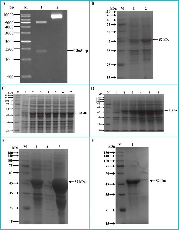 https://cdn.ncbi.nlm.nih.gov/pmc/blobs/d0d9/10725000/b2737e6d8b84/12917_2023_3812_Fig4_HTML.jpg