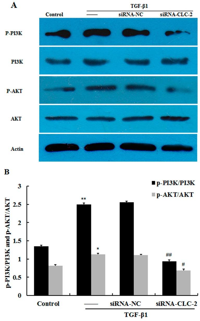 https://cdn.ncbi.nlm.nih.gov/pmc/blobs/d0d9/4926444/1681c762f87e/ijms-17-00910-g005.jpg