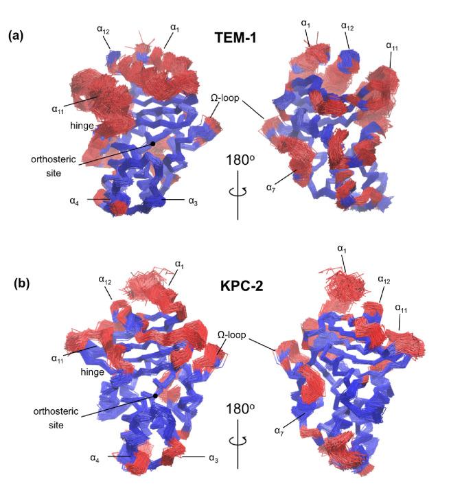https://cdn.ncbi.nlm.nih.gov/pmc/blobs/d0db/8060031/1d076446b15a/elife-66567-fig2-figsupp3.jpg