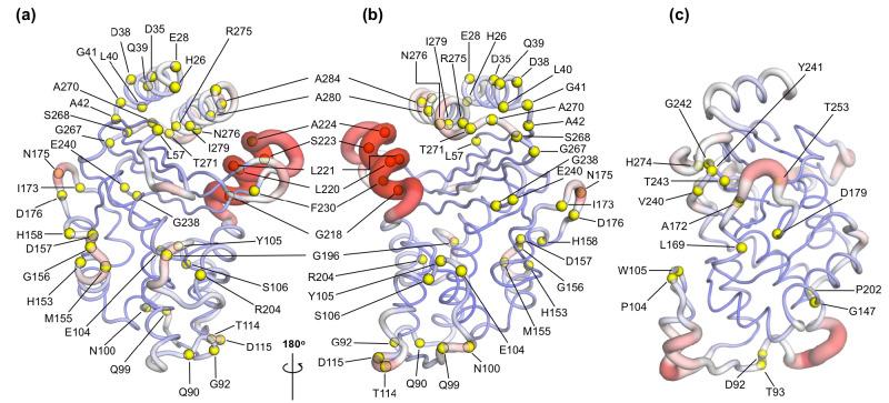 https://cdn.ncbi.nlm.nih.gov/pmc/blobs/d0db/8060031/20f534c83a70/elife-66567-fig6.jpg