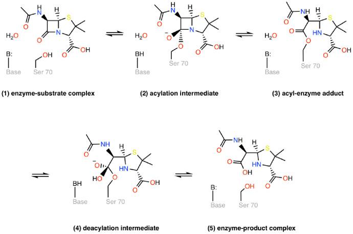 https://cdn.ncbi.nlm.nih.gov/pmc/blobs/d0db/8060031/6d7e7c0e177c/elife-66567-fig1-figsupp1.jpg