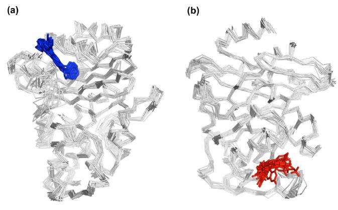 https://cdn.ncbi.nlm.nih.gov/pmc/blobs/d0db/8060031/b0a41ada9d69/elife-66567-fig3-figsupp2.jpg