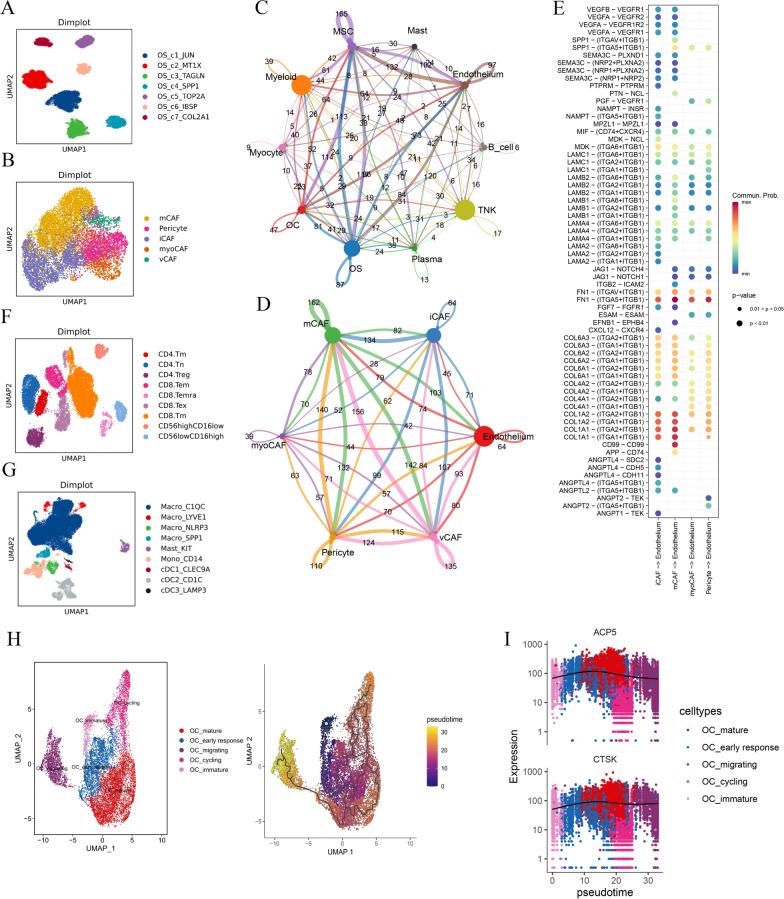 https://cdn.ncbi.nlm.nih.gov/pmc/blobs/d0dc/11337771/b18a441dc0a6/13045_2024_1598_Fig2_HTML.jpg