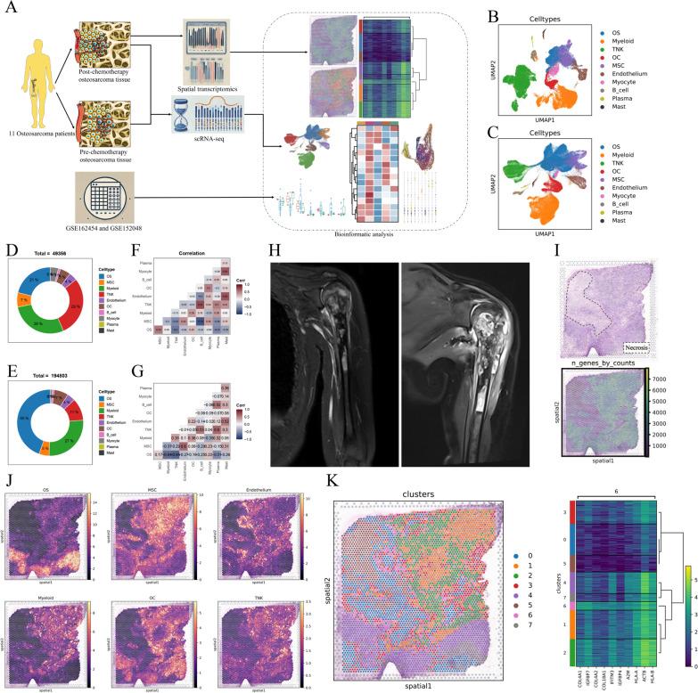 https://cdn.ncbi.nlm.nih.gov/pmc/blobs/d0dc/11337771/d2608b444af2/13045_2024_1598_Fig1_HTML.jpg