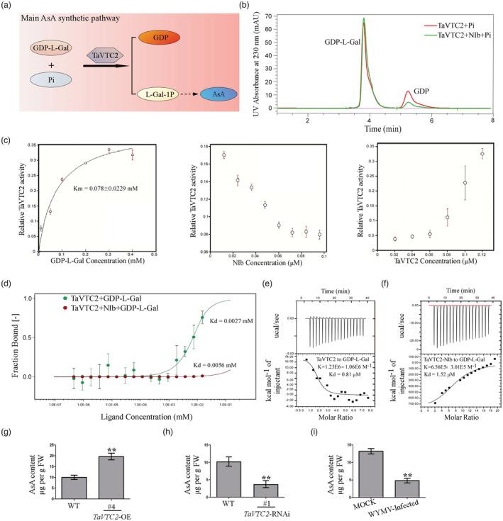 https://cdn.ncbi.nlm.nih.gov/pmc/blobs/d0dd/11376800/1d8fb5ebdcd0/PBI-21-1073-g009.jpg