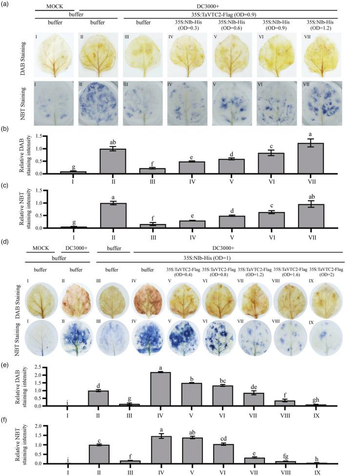 https://cdn.ncbi.nlm.nih.gov/pmc/blobs/d0dd/11376800/bed82b2d9c88/PBI-21-1073-g008.jpg