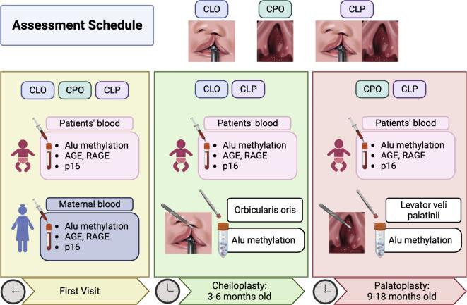 https://cdn.ncbi.nlm.nih.gov/pmc/blobs/d0dd/11439953/4de5685740ea/41598_2024_74353_Fig4_HTML.jpg