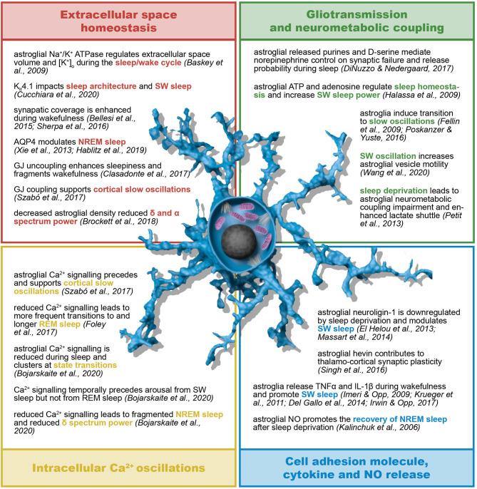 https://cdn.ncbi.nlm.nih.gov/pmc/blobs/d0dd/8219957/126871a98422/fneur-12-661408-g0005.jpg