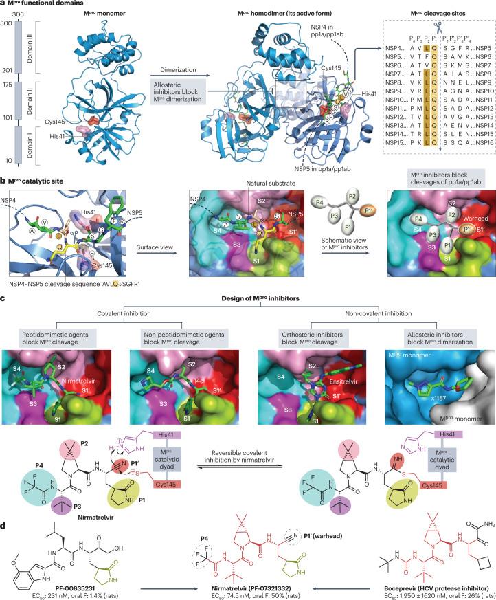 https://cdn.ncbi.nlm.nih.gov/pmc/blobs/d0df/10113999/5ae685267d55/41573_2023_672_Fig4_HTML.jpg