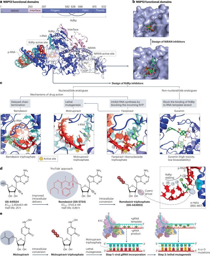 https://cdn.ncbi.nlm.nih.gov/pmc/blobs/d0df/10113999/a7b0676ced26/41573_2023_672_Fig6_HTML.jpg