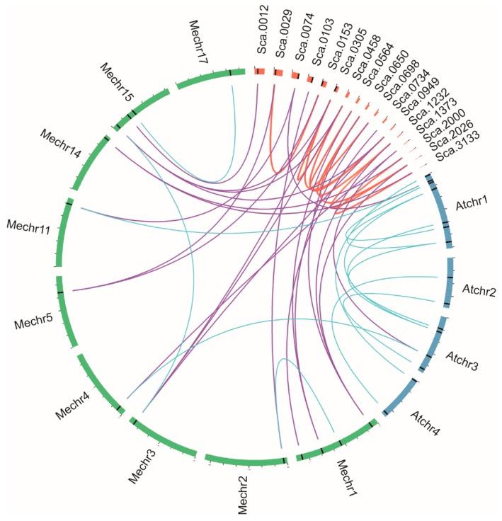 https://cdn.ncbi.nlm.nih.gov/pmc/blobs/d0df/5664111/bc94a01971ac/genes-08-00261-g007.jpg