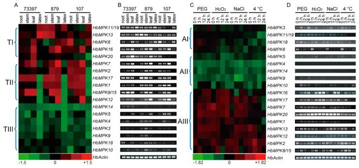 https://cdn.ncbi.nlm.nih.gov/pmc/blobs/d0df/5664111/db9ae1218b75/genes-08-00261-g008.jpg