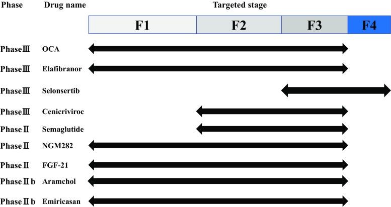 https://cdn.ncbi.nlm.nih.gov/pmc/blobs/d0e0/5847174/f52209f1a449/535_2017_1415_Fig6_HTML.jpg