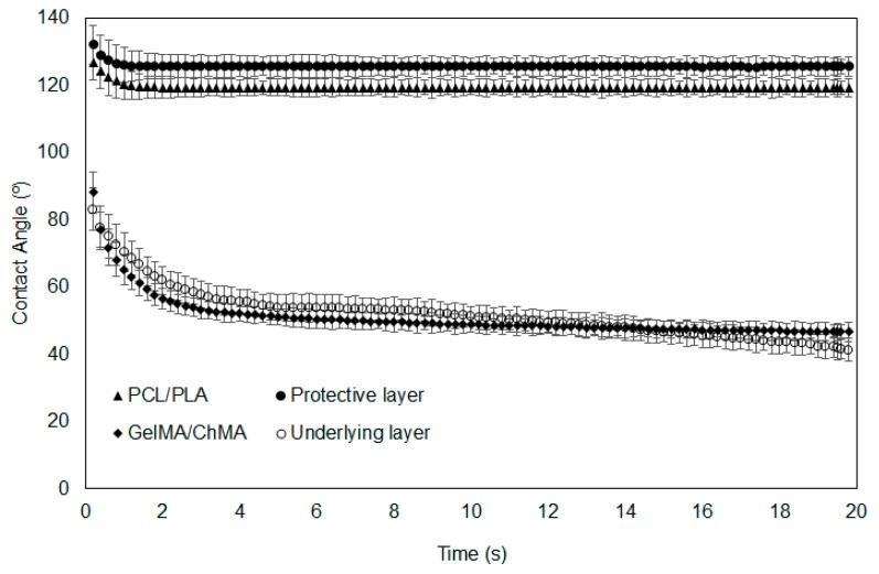 https://cdn.ncbi.nlm.nih.gov/pmc/blobs/d0e9/6523099/b05bef006612/polymers-11-00653-g005.jpg