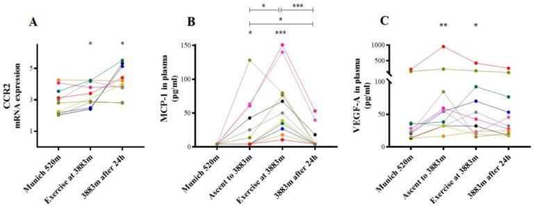 https://cdn.ncbi.nlm.nih.gov/pmc/blobs/d0e9/7037641/3218e96f6dfc/ijms-21-01034-g005.jpg