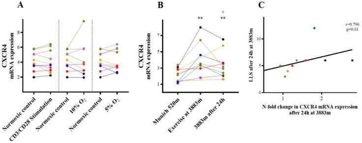 https://cdn.ncbi.nlm.nih.gov/pmc/blobs/d0e9/7037641/d1b13357dbed/ijms-21-01034-g003.jpg