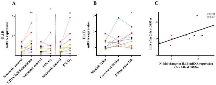 https://cdn.ncbi.nlm.nih.gov/pmc/blobs/d0e9/7037641/d99f3b14bd2a/ijms-21-01034-g002.jpg