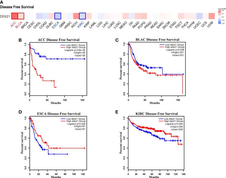 https://cdn.ncbi.nlm.nih.gov/pmc/blobs/d0e9/9730287/0d60739f8625/fonc-12-947054-g004.jpg