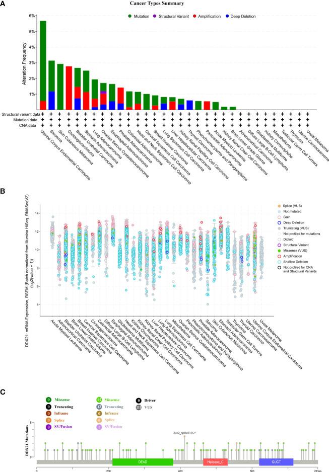 https://cdn.ncbi.nlm.nih.gov/pmc/blobs/d0e9/9730287/6118016517ee/fonc-12-947054-g006.jpg