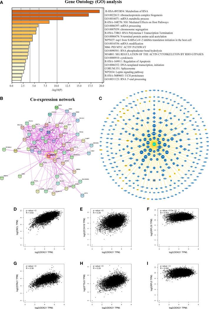https://cdn.ncbi.nlm.nih.gov/pmc/blobs/d0e9/9730287/c25b37efc2ad/fonc-12-947054-g008.jpg