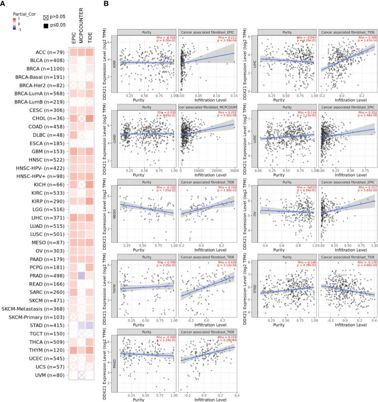 https://cdn.ncbi.nlm.nih.gov/pmc/blobs/d0e9/9730287/cb2fb66cf54a/fonc-12-947054-g007.jpg