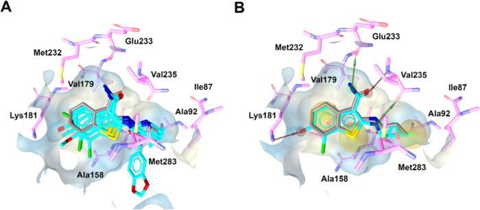 https://cdn.ncbi.nlm.nih.gov/pmc/blobs/d0ec/9201901/f74af929055f/ao2c02093_0004.jpg