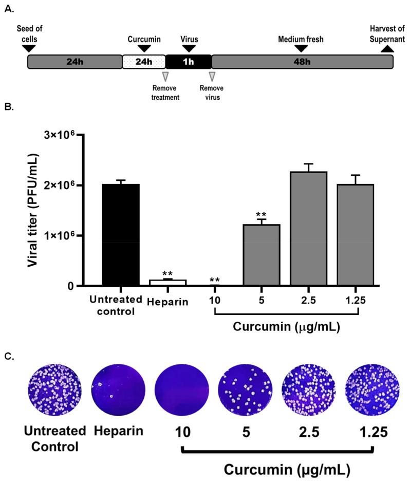 https://cdn.ncbi.nlm.nih.gov/pmc/blobs/d0f1/8618354/563732c06eef/molecules-26-06900-g004.jpg