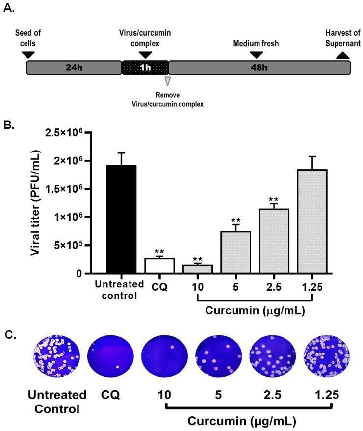 https://cdn.ncbi.nlm.nih.gov/pmc/blobs/d0f1/8618354/85d742dd13dd/molecules-26-06900-g006.jpg