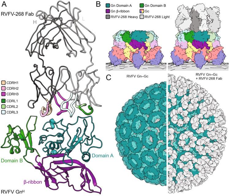 https://cdn.ncbi.nlm.nih.gov/pmc/blobs/d0f2/10499838/b1ed8941cebb/41467_2023_41171_Fig2_HTML.jpg