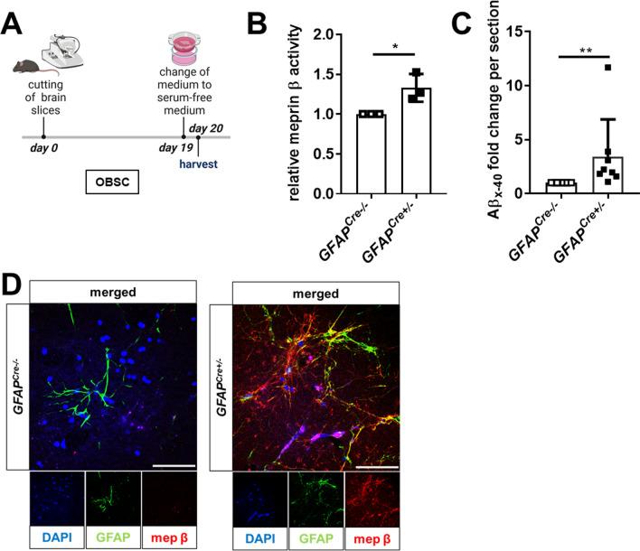 https://cdn.ncbi.nlm.nih.gov/pmc/blobs/d0f3/11072131/6d80be016579/18_2024_5139_Fig4_HTML.jpg