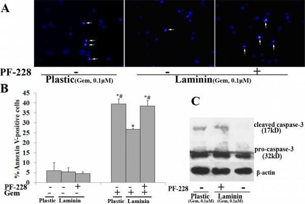 https://cdn.ncbi.nlm.nih.gov/pmc/blobs/d0f3/2806309/0383d7256004/1476-4598-8-125-13.jpg