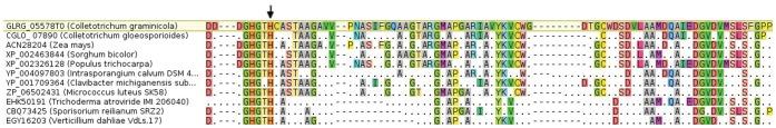 https://cdn.ncbi.nlm.nih.gov/pmc/blobs/d0f5/3598655/73add26a59c9/pone.0059078.g001.jpg