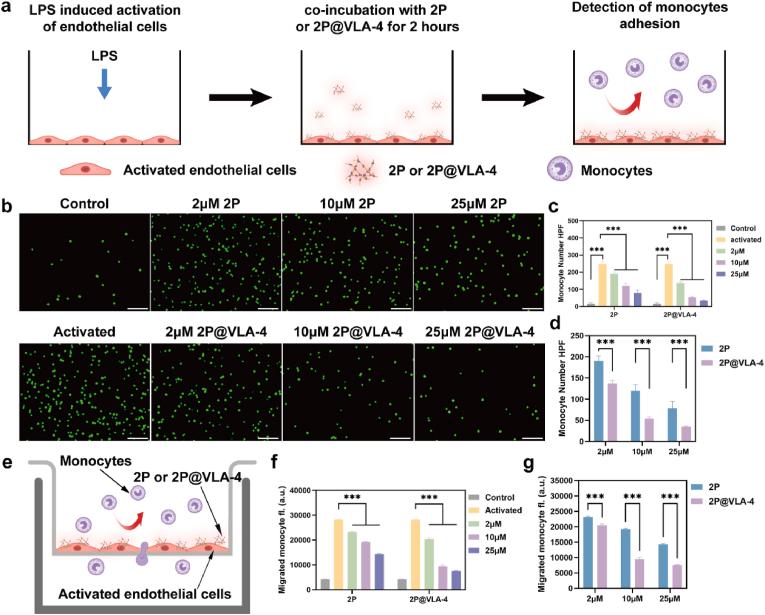https://cdn.ncbi.nlm.nih.gov/pmc/blobs/d0f6/12124642/b09c7fcdcdef/gr3.jpg