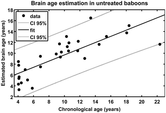 https://cdn.ncbi.nlm.nih.gov/pmc/blobs/d0f6/5386978/74318fc37e5a/fnagi-09-00092-g0005.jpg