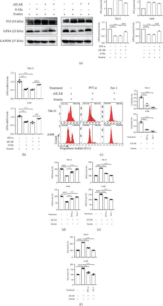 https://cdn.ncbi.nlm.nih.gov/pmc/blobs/d0f6/9554664/68c053e41405/OMCL2022-2353115.006.jpg