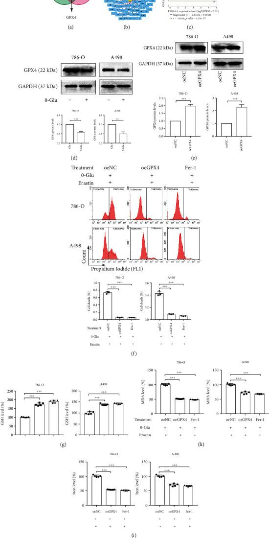 https://cdn.ncbi.nlm.nih.gov/pmc/blobs/d0f6/9554664/9bc511e85255/OMCL2022-2353115.003.jpg